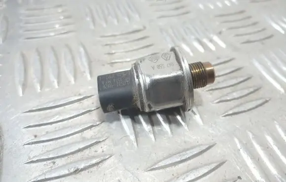 Renault Laguna II Sensor 1005229926