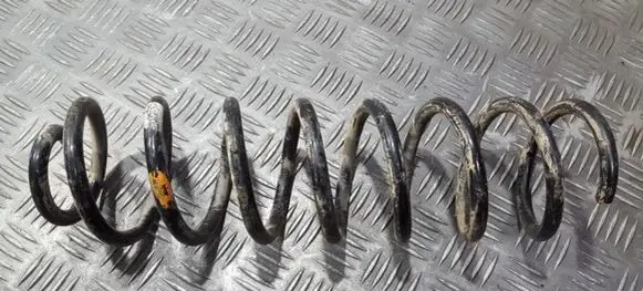 Renault Megane II Rear coil spring
