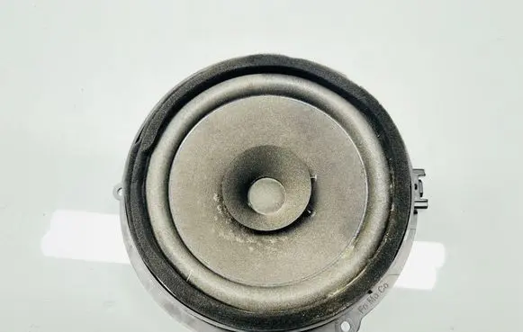 Rear door speaker