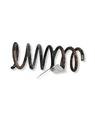 Ford S-MAX Rear coil spring 1234