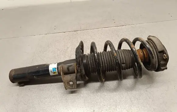 Volkswagen Tiguan Front shock absorber/damper 69806TZZ