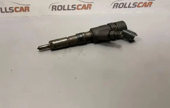 Peugeot Boxer Fuel injector 9641742880Y 0445110076
