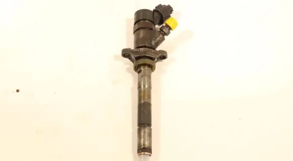Citroen C4 I Picasso Fuel injector 0445110259