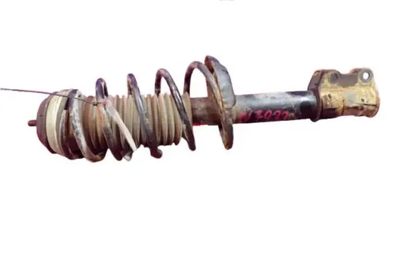 Fiat Punto (199) Front shock absorber with coil spring