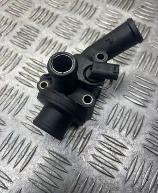 Thermostat/thermostat housing