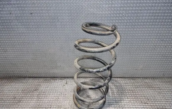 Front coil spring