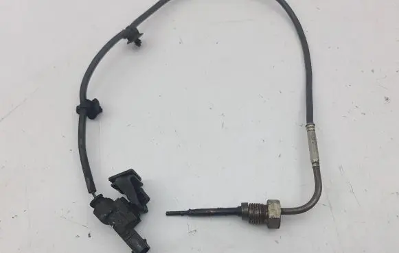Exhaust gas temperature sensor