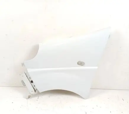 Renault Trafic II (X83) Fender