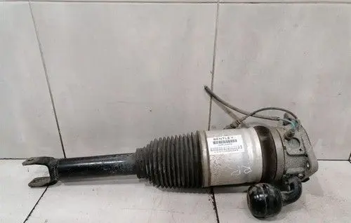 Bentley Continental Rear shock absorber with coil spring 3W0616002B