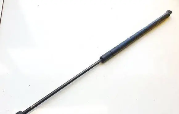 Tailgate/trunk strut/damper