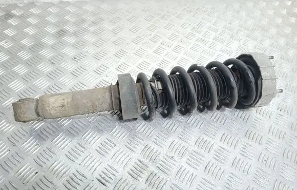 Porsche Cayenne (9PA) Rear shock absorber/damper 7L5513029G
