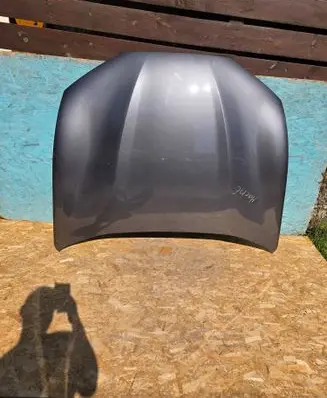 Ford Mach-E I Engine bonnet/hood LJ8Z16612A