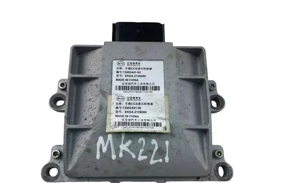 BYD Atto 3 Other control units/modules 1365244100