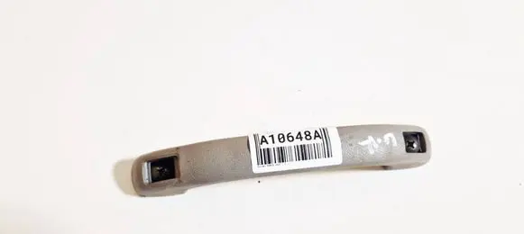 Suzuki Ignis Rear interior roof grab handle