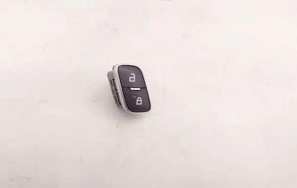 Ford Mustang Mach-E Central locking switch button F1ET14017BB