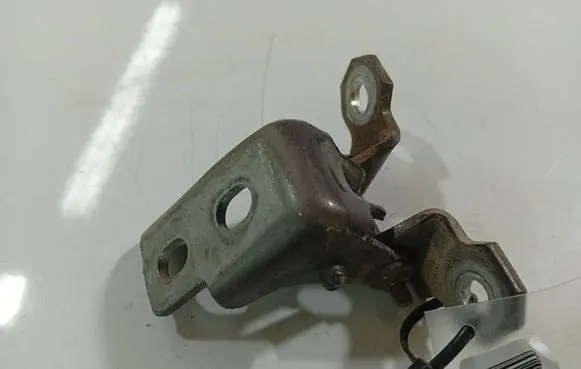 Renault Scenic III - Grand scenic III Rear door lower hinge 