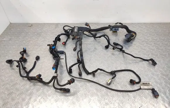 Peugeot 508 Engine installation wiring loom 9801694080 21391405