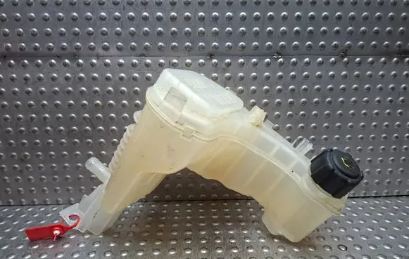 Renault Laguna III Coolant expansion tank/reservoir S26282281 217100001R