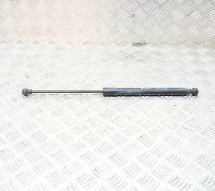 Dacia Sandero Tailgate/trunk strut/damper 904529943R