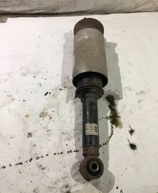 Land Rover Range Rover Sport L320 Rear shock absorber/damper 22241483
