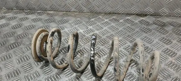 Volkswagen Golf V Rear coil spring 