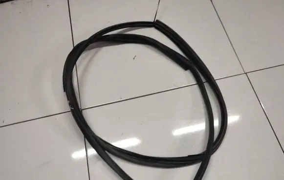 Mitsubishi Lancer X Rubber seal front coupe door 