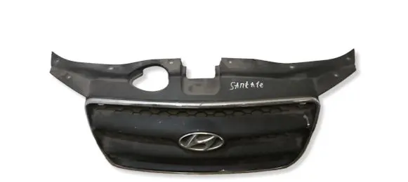 Hyundai Santa Fe Front grill E865612B010
