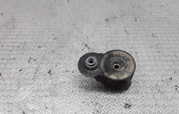 Fiat Ducato Generator/alternator belt tensioner