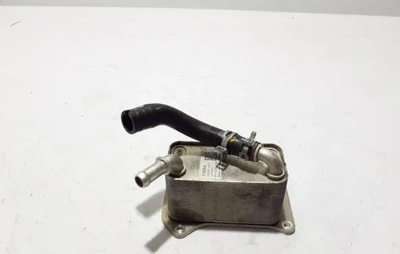 Oil filter mounting bracket