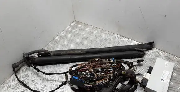 BMW 3 F30 F35 F31 Tailgate hydraulic set 61357384722 7384722 F005V01559