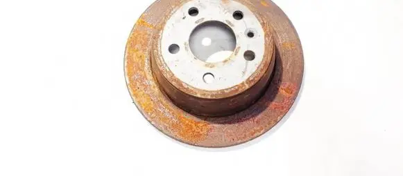Rear brake disc