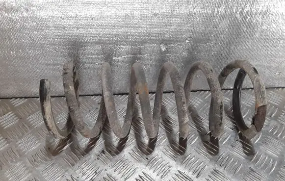 Ford S-MAX Rear coil spring