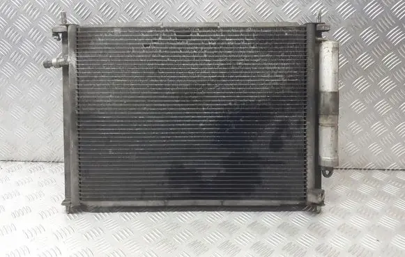 Renault Clio III Radiator set 8200221498