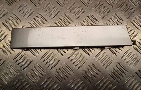Rear/tail light trim molding