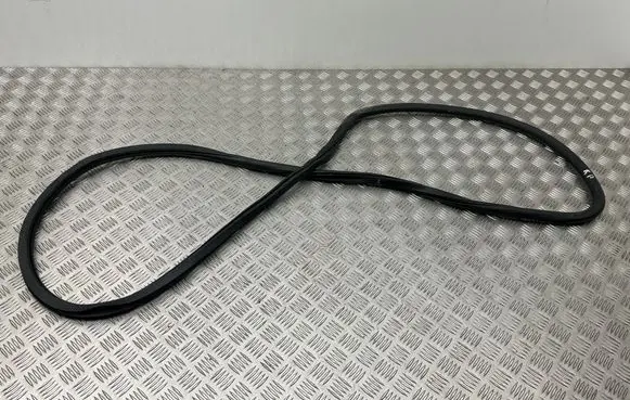 Chrysler Pacifica Rubber seal front coupe door 
