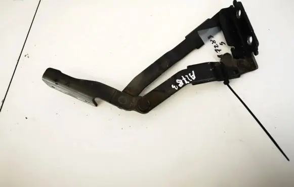 Tailgate/trunk/boot hinge