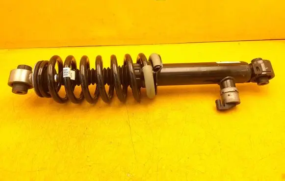 Citroen ID-DS Serie Rear shock absorber with coil spring 9858884380