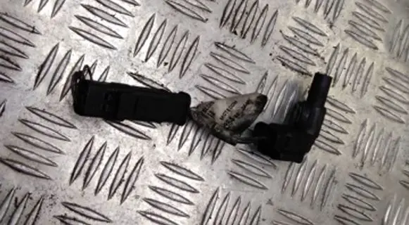 Citroen C4 I Picasso Camshaft position sensor 9687138480