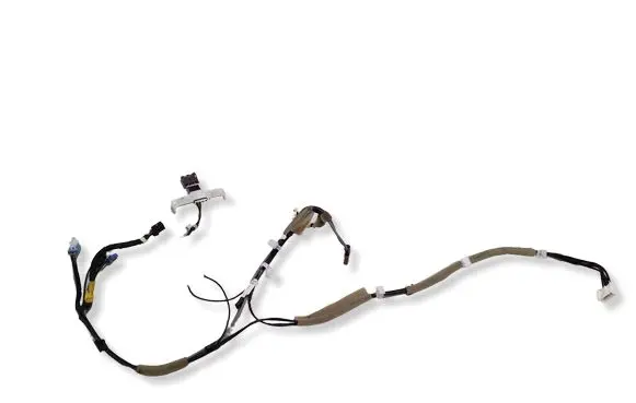 Toyota C-HR II Other wiring loom 86101F4K40