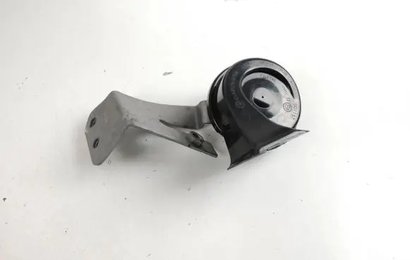 Porsche Taycan 9J1 Horn signal
