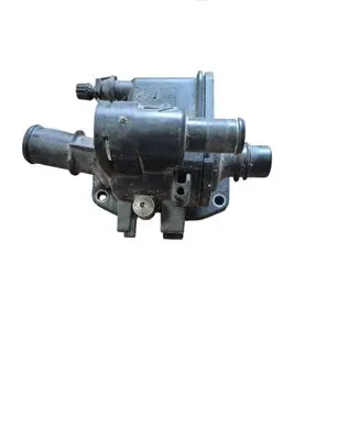 Peugeot 607 Thermostat/thermostat housing 9654393880 00027100