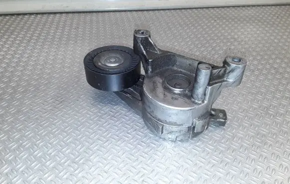 Volkswagen PASSAT B6 Generator/alternator belt tensioner 1023674
