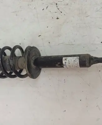 Front shock absorber with coil spring