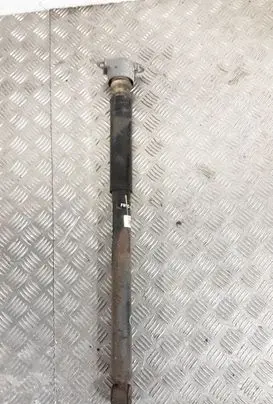 Ford Ecosport Rear shock absorber/damper FN1C18080CA
