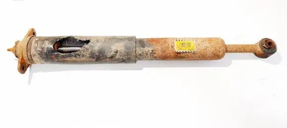 Chrysler Pacifica Rear shock absorber/damper 04725865ad