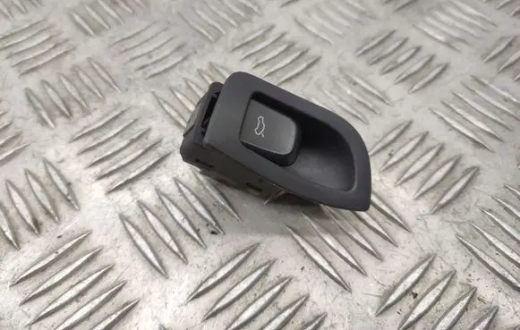 Tailgate opening switch