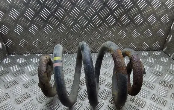 Volkswagen Transporter - Caravelle T5 Rear coil spring