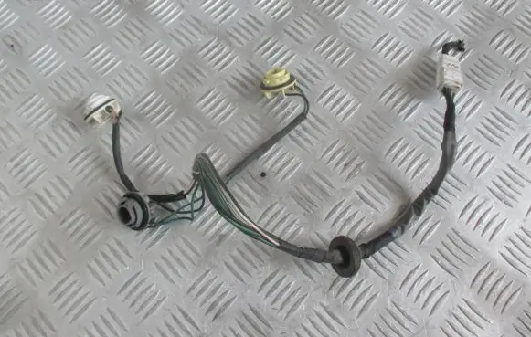 Hyundai Santa Fe Tail light bulb cover holder