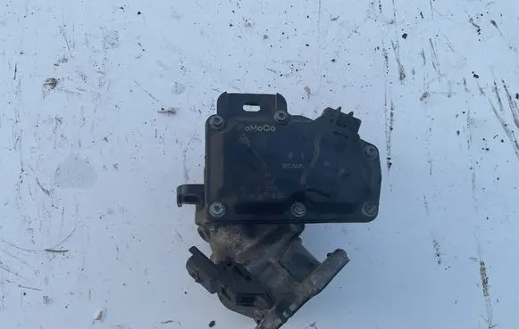 Citroen Jumpy Throttle valve 9806625280