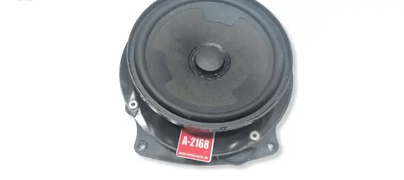 Volkswagen Touran III Rear door speaker 5TA035453